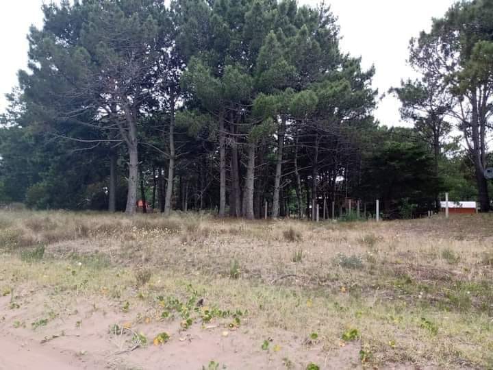 Terreno en esquina con arboleda en Nueva Atlantis
